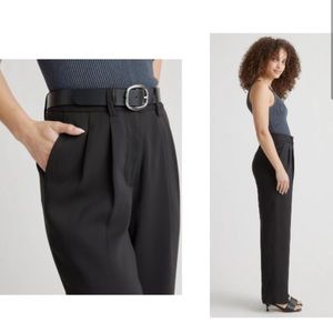 Quince | NEW Stretch Crepe Pleated High Rise Wide Leg Trousers Size S